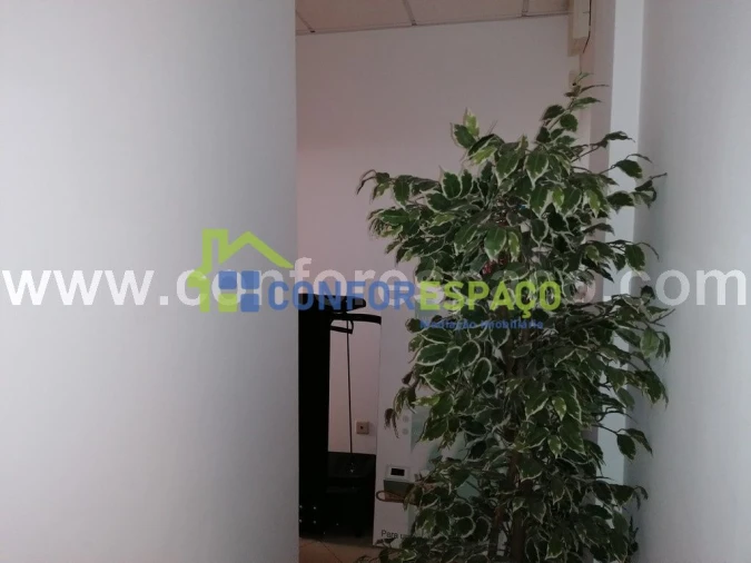 Loja para Venda em Castelo Branco Foto 5