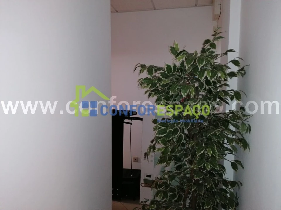 Loja para Venda em Castelo Branco Foto 5