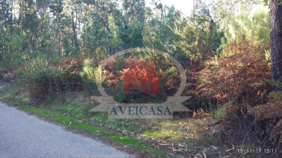 Terreno para Venda em Esgueira Foto 1