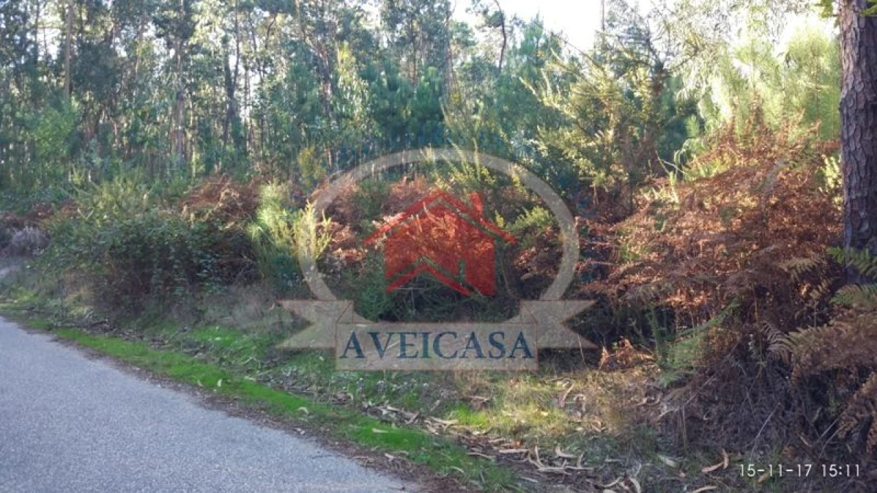 Terreno para Venda em Esgueira Foto 1