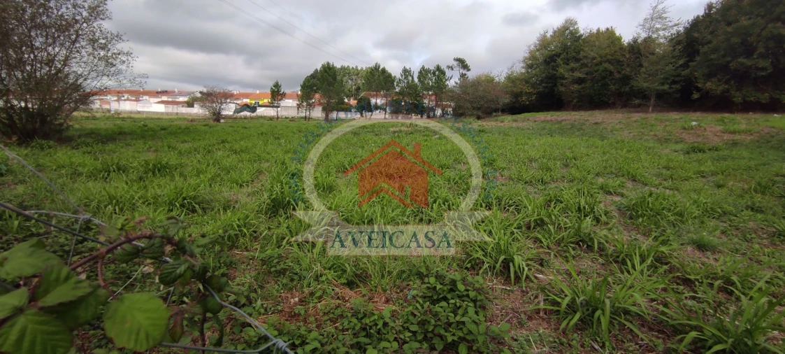 Terreno para Venda em Aradas Foto 6