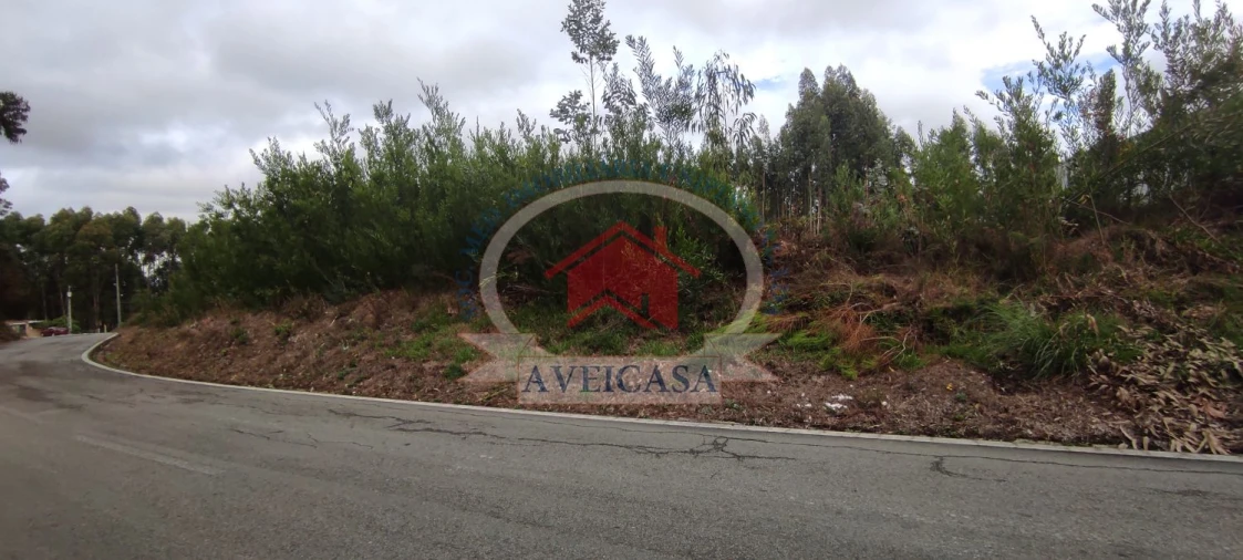 Terreno para Venda em Ílhavo (São Salvador) Foto 6