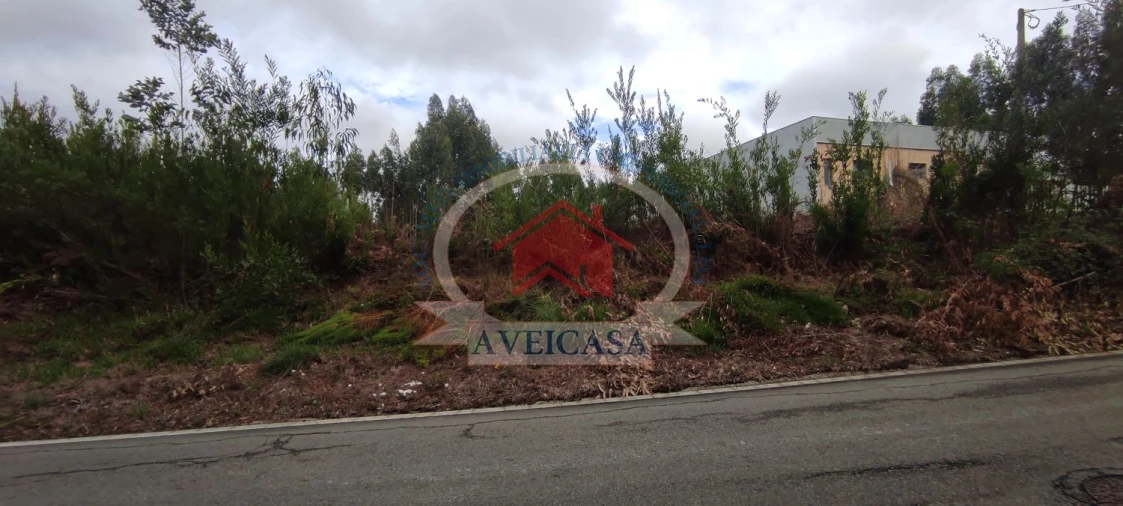 Terreno para Venda em Ílhavo (São Salvador) Foto 5