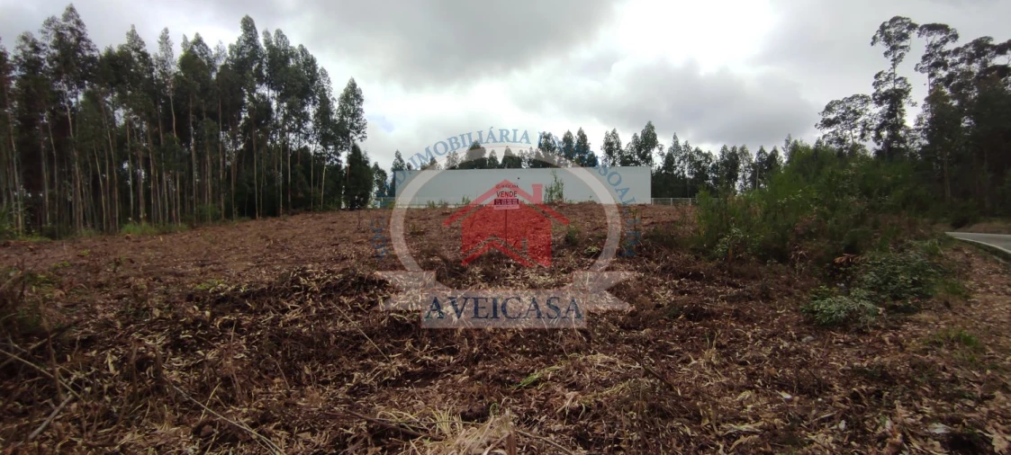 Terreno para Venda em Ílhavo (São Salvador) Foto 7