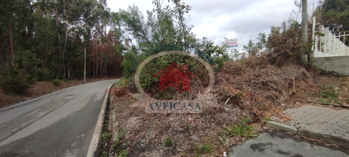 Terreno para Venda em Ílhavo (São Salvador) Foto 4