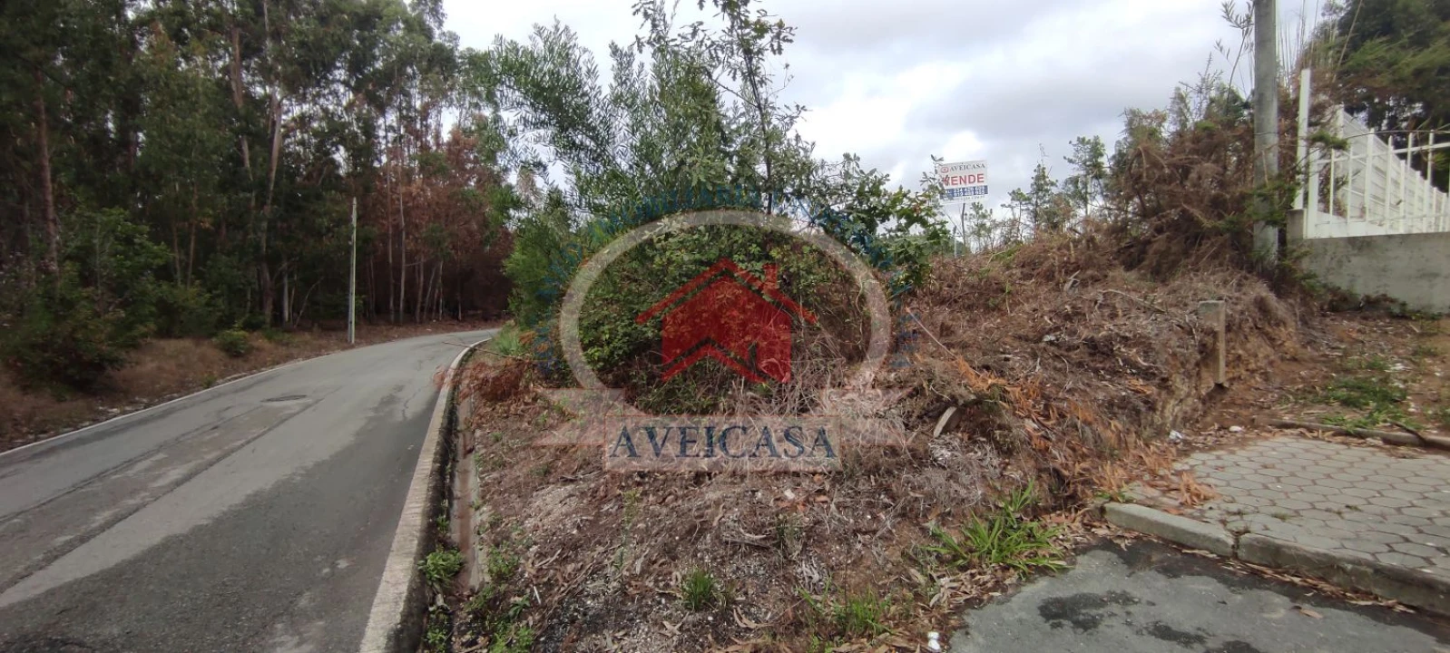 Terreno para Venda em Ílhavo (São Salvador) Foto 4