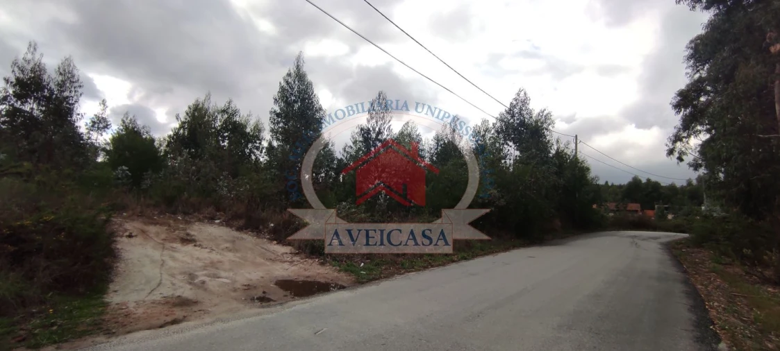 Terreno para Venda em Ílhavo (São Salvador) Foto 2