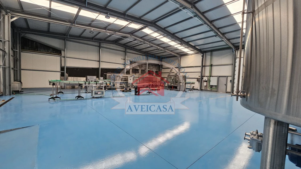 Loja para Venda em Ílhavo (São Salvador) Foto 12