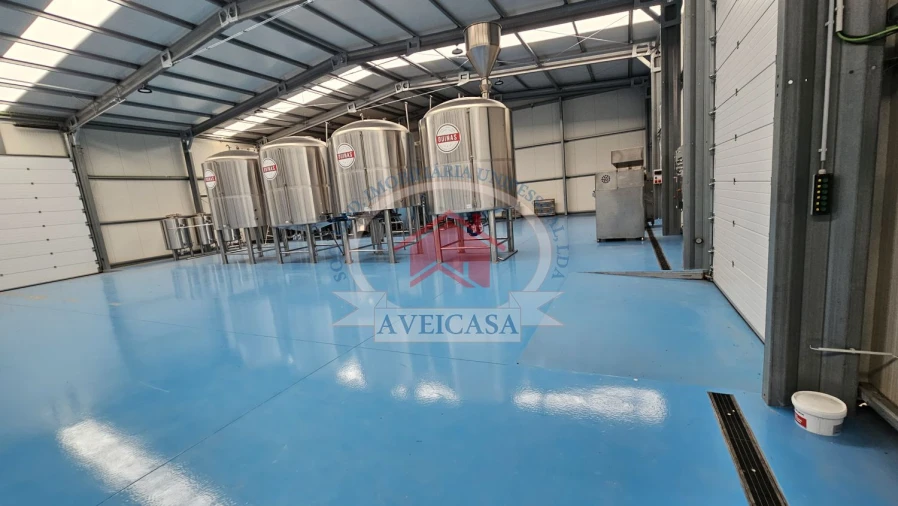 Loja para Venda em Ílhavo (São Salvador) Foto 13