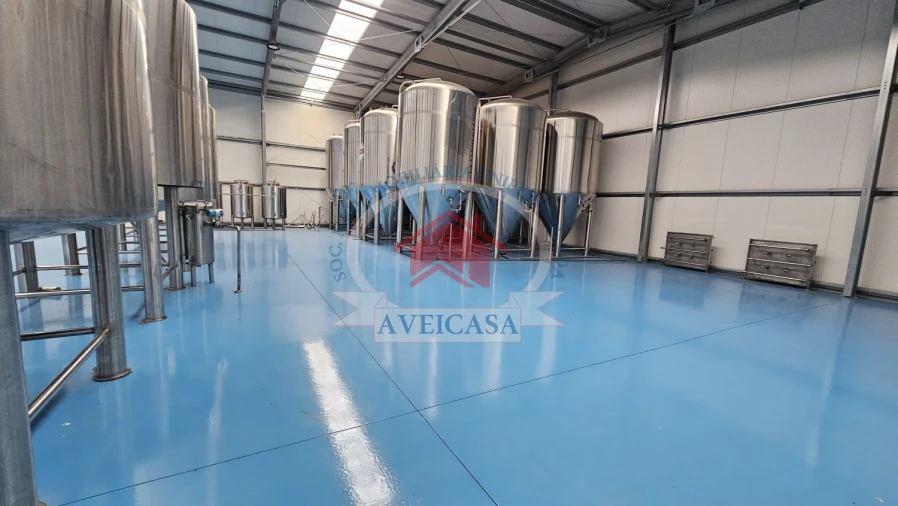 Loja para Venda em Ílhavo (São Salvador) Foto 11