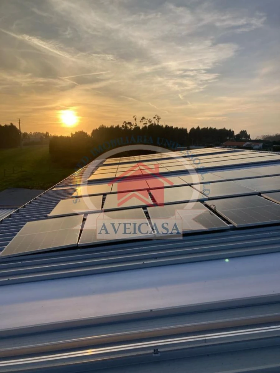 Loja para Venda em Ílhavo (São Salvador) Foto 18