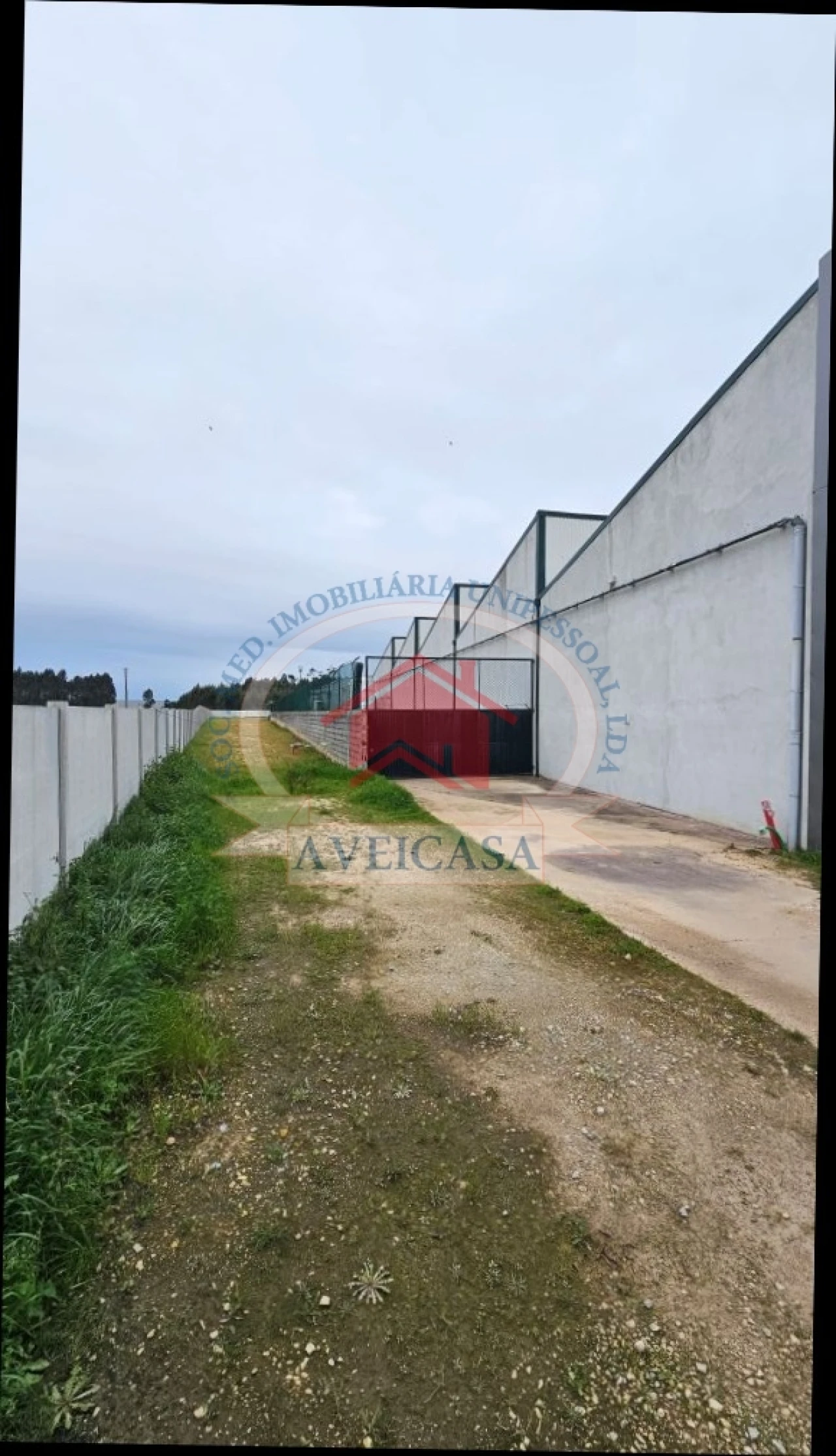 Loja para Venda em Ílhavo (São Salvador) Foto 3
