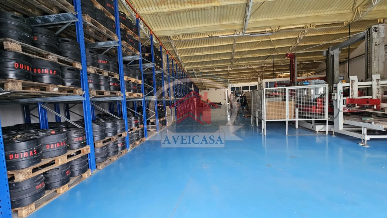 Loja para Venda em Ílhavo (São Salvador) Foto 4