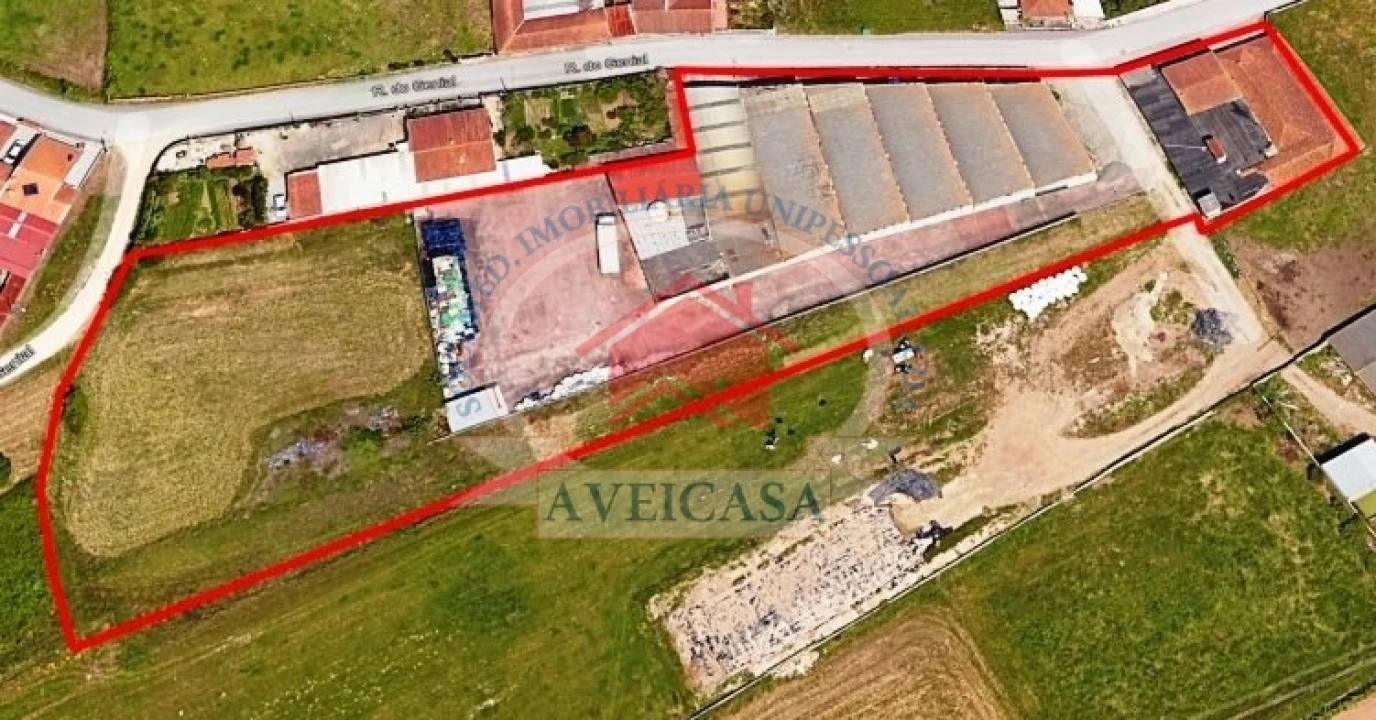 Loja para Venda em Ílhavo (São Salvador) Foto 21