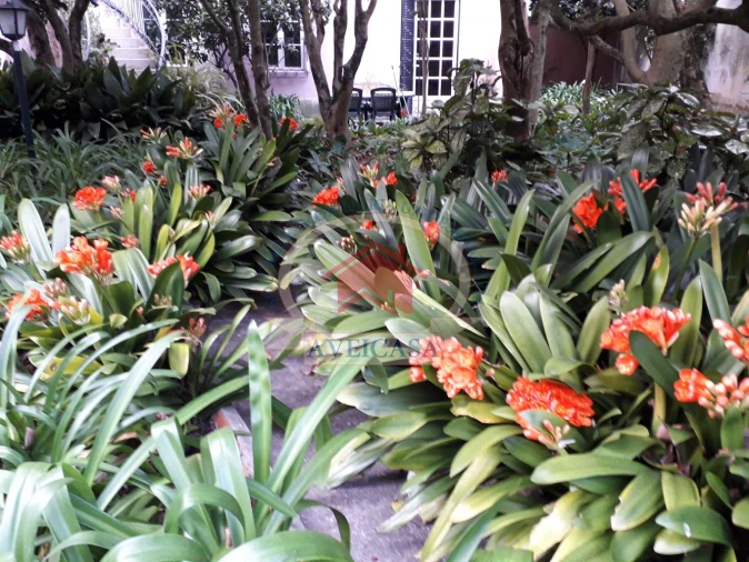Loja para Venda em Glória e Vera Cruz Foto 16