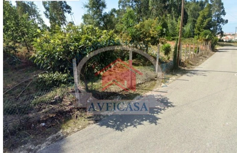 Terreno para Venda em São Bernardo Foto 1