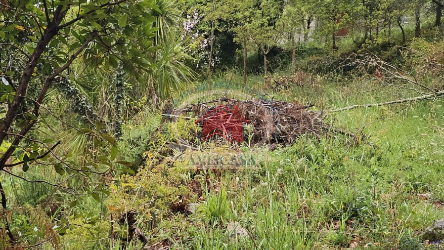 Terreno para Venda em Couto de Esteves Foto 4