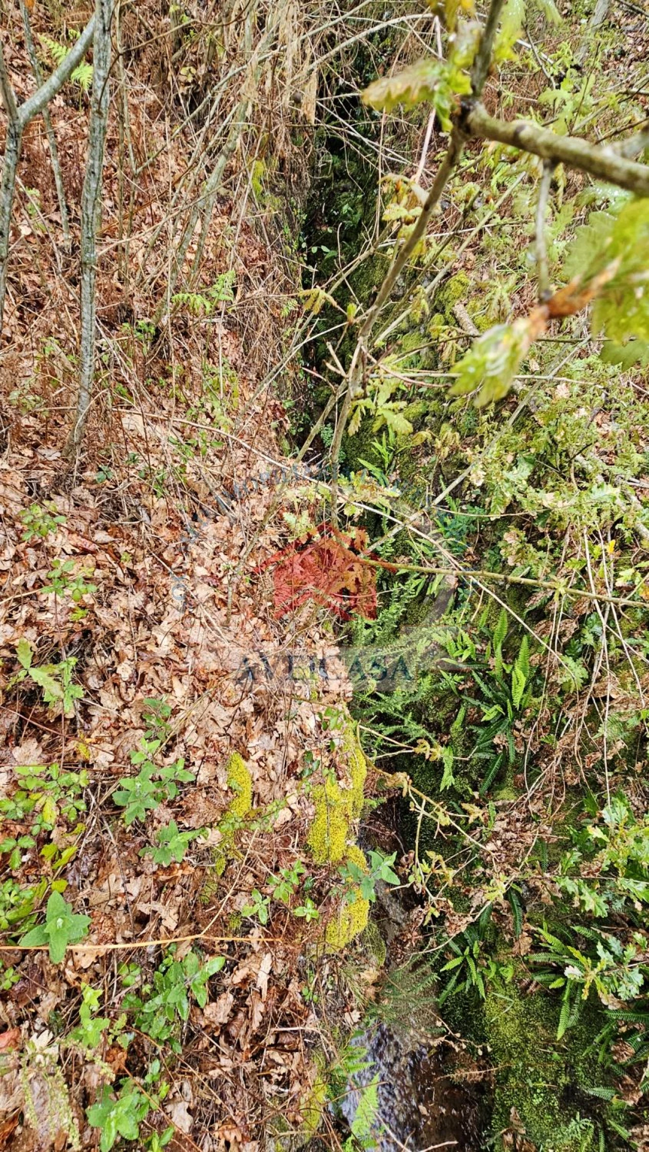 Terreno para Venda em Couto de Esteves Foto 5