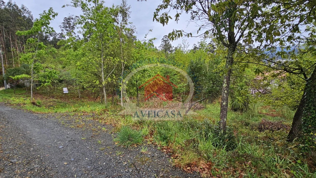 Terreno para Venda em Couto de Esteves Foto 1