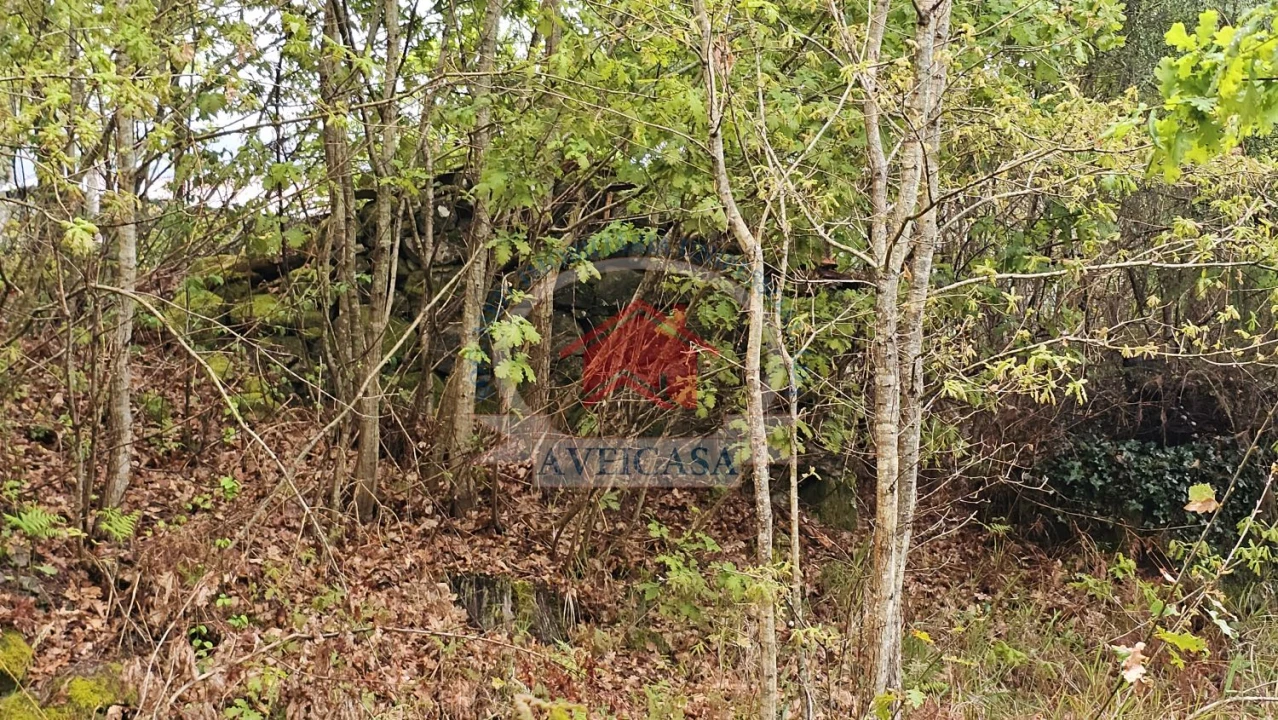 Terreno para Venda em Couto de Esteves Foto 3