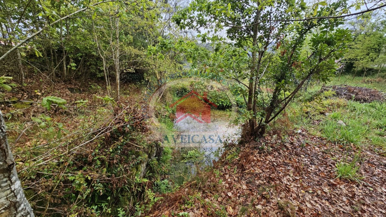 Terreno para Venda em Couto de Esteves Foto 2