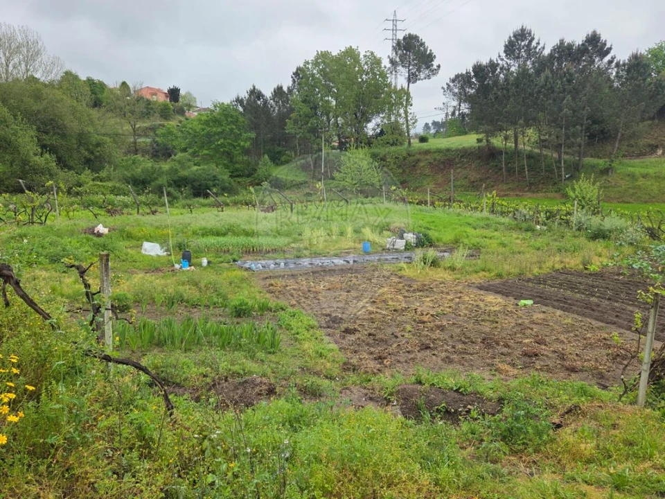 Moradia T1 para Venda em Constance Foto 6