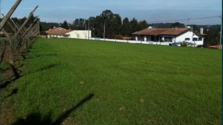 Terreno Agricola ou Rústico para Venda em São Miguel do Souto e Mosteirô