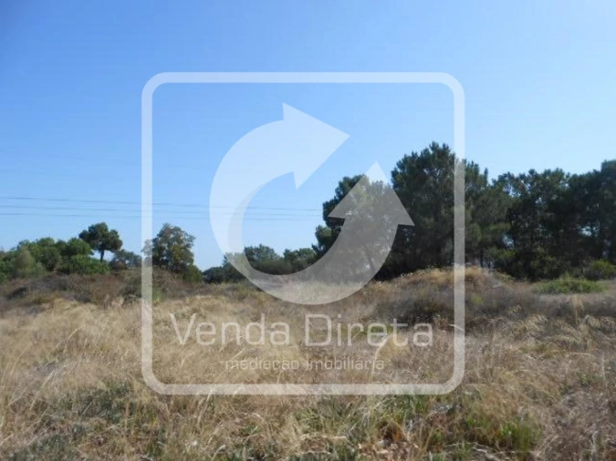 Terreno para Venda em Santo Antonio da Charneca