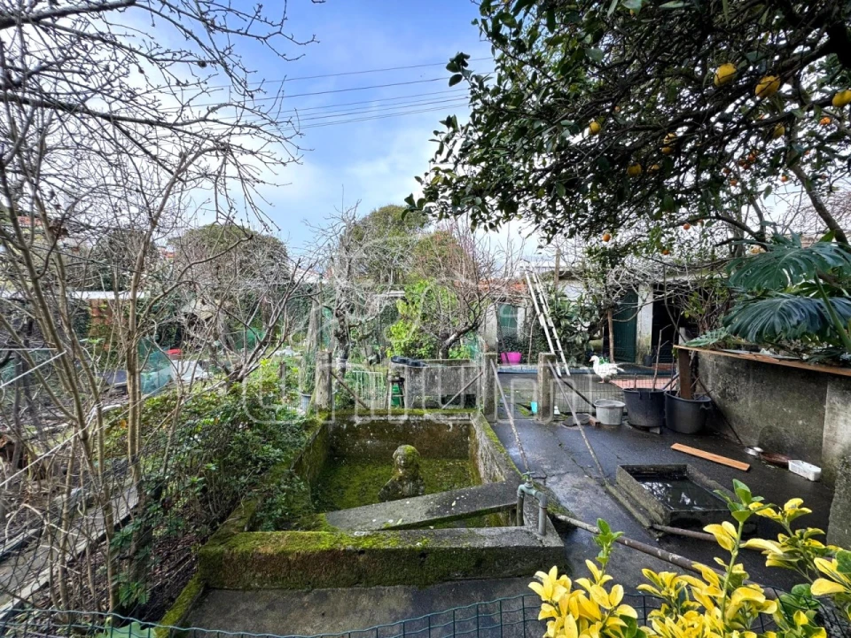 Moradia T4 para Venda em Santa Maria Maior e Monserrate e Meadela Foto 19