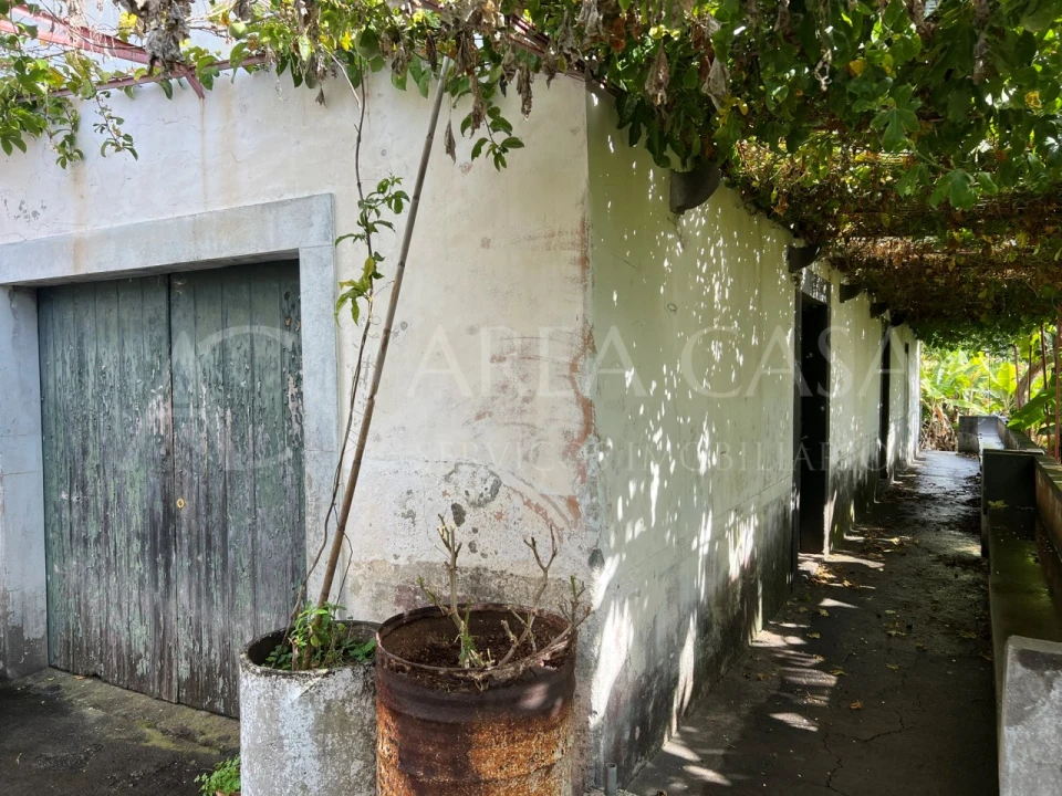 Quinta T3 para Venda em Estreito de Camara de Lobos Foto 4