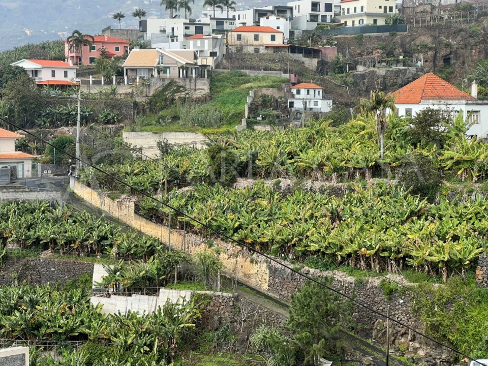 Quinta T3 para Venda em Estreito de Camara de Lobos Foto 19