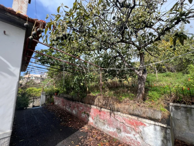 Quinta T3 para Venda em Estreito de Camara de Lobos Foto 8