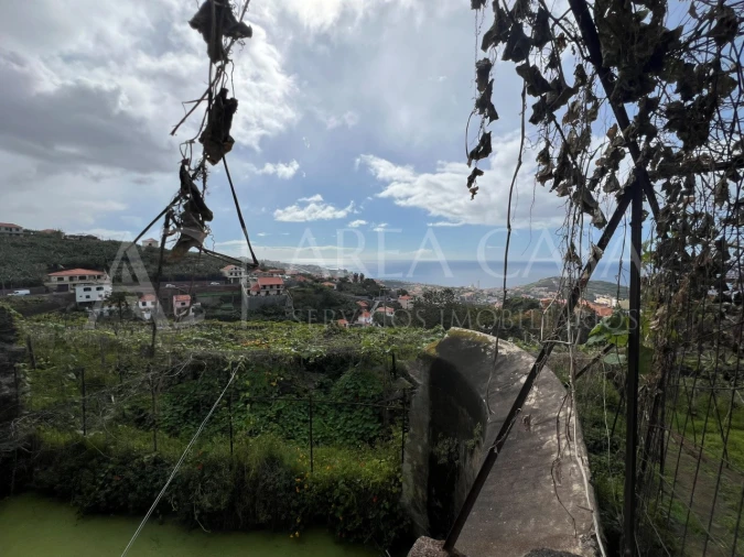 Quinta T3 para Venda em Estreito de Camara de Lobos Foto 15