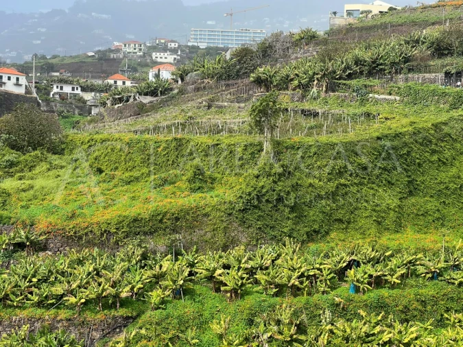 Quinta T3 para Venda em Estreito de Camara de Lobos Foto 18