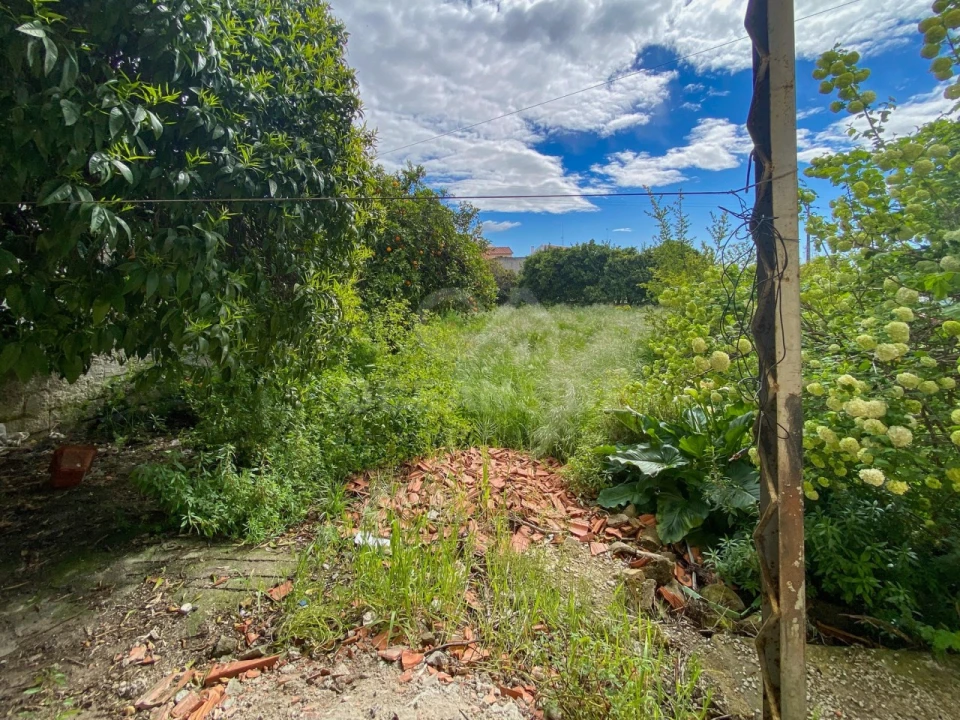 Moradia T3 para Venda em Soalheira Foto 64