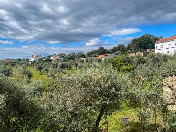 Moradia T3 para Venda em Soalheira Foto 53