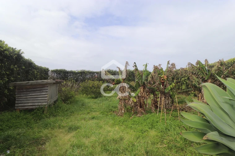 Moradia T4 para Venda em Mosteiros Foto 41