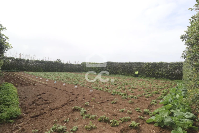 Moradia T4 para Venda em Mosteiros Foto 39