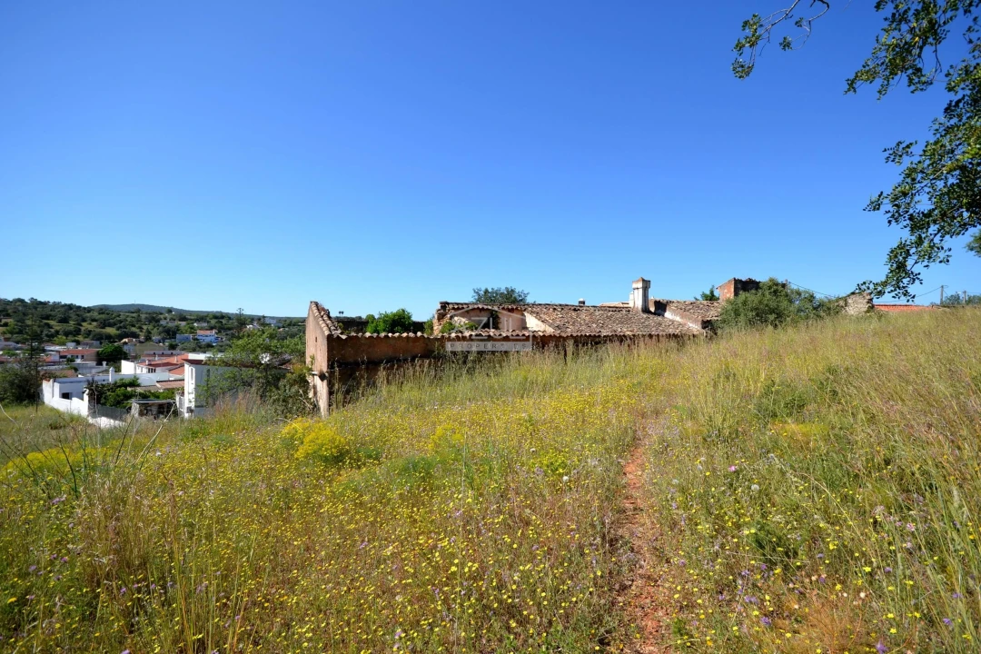 Terreno para Venda em Loule (São Clemente) Foto 21