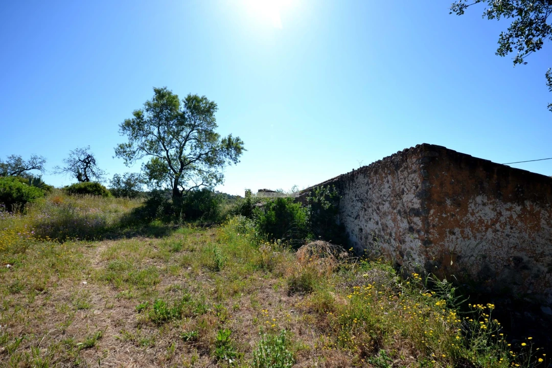 Terreno para Venda em Loule (São Clemente) Foto 22
