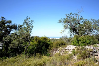 Terreno para Venda em Loule (São Clemente)