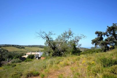 Terreno para Venda em Loule (São Clemente)