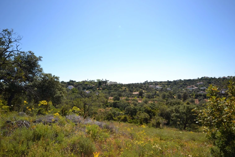Terreno para Venda em Loule (São Clemente) Foto 30