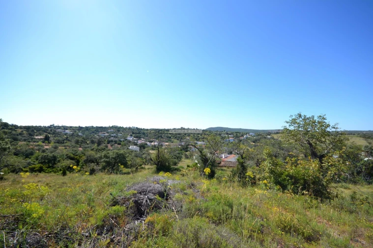 Terreno para Venda em Loule (São Clemente) Foto 28