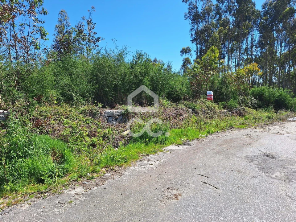 Terreno para Venda em Penamaior Foto 5