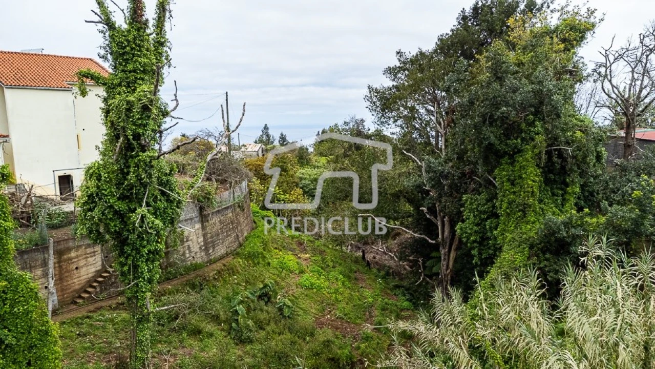 Terreno para Venda em Santana Foto 7