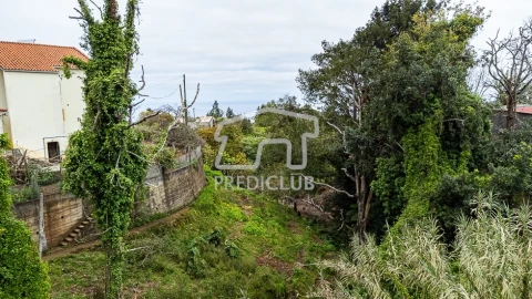 Terreno para Venda em Santana