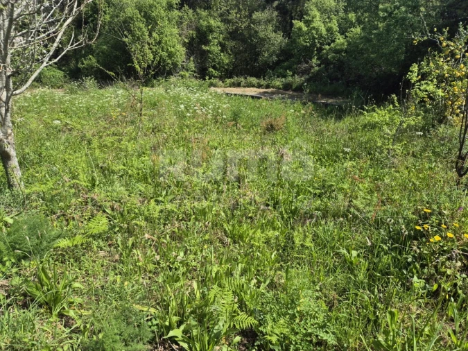 Moradia para Venda em Lanheses Foto 5