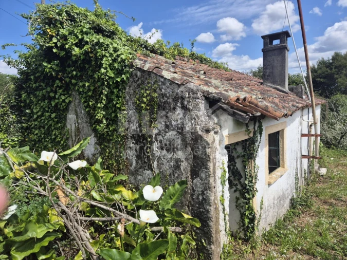 Moradia para Venda em Lanheses Foto 8