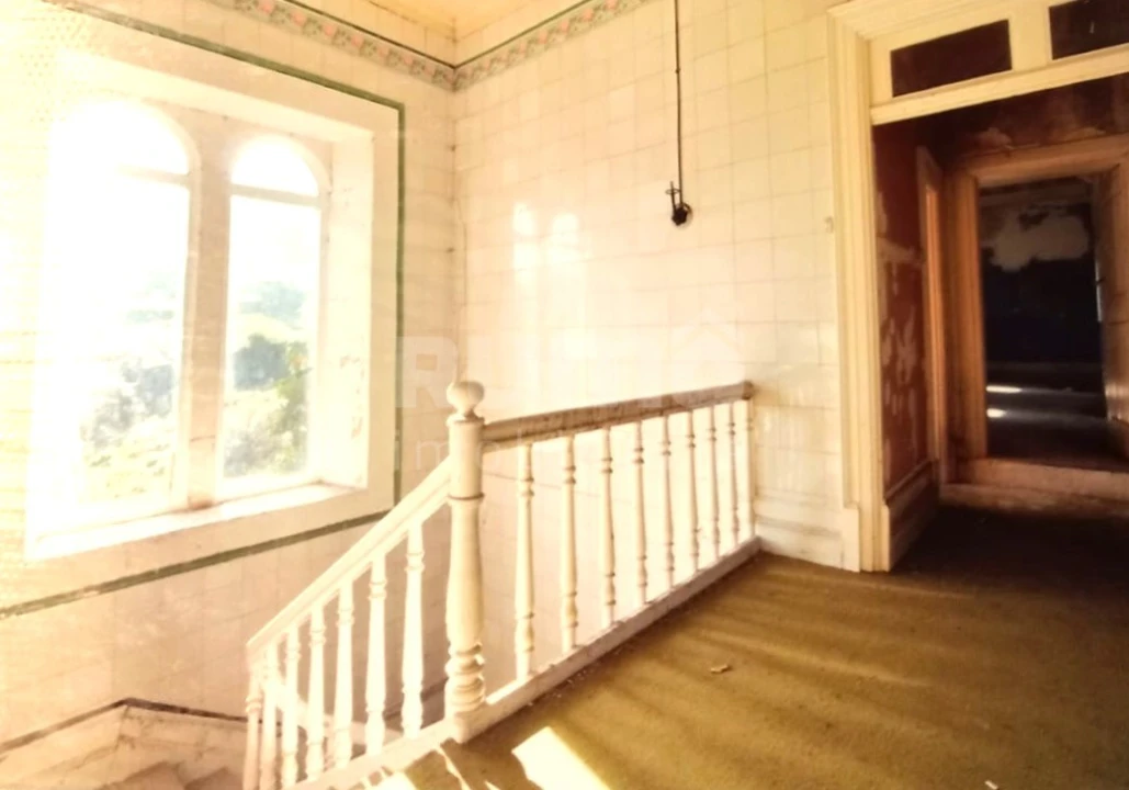 Quinta T7 para Venda em Cristoval Foto 17